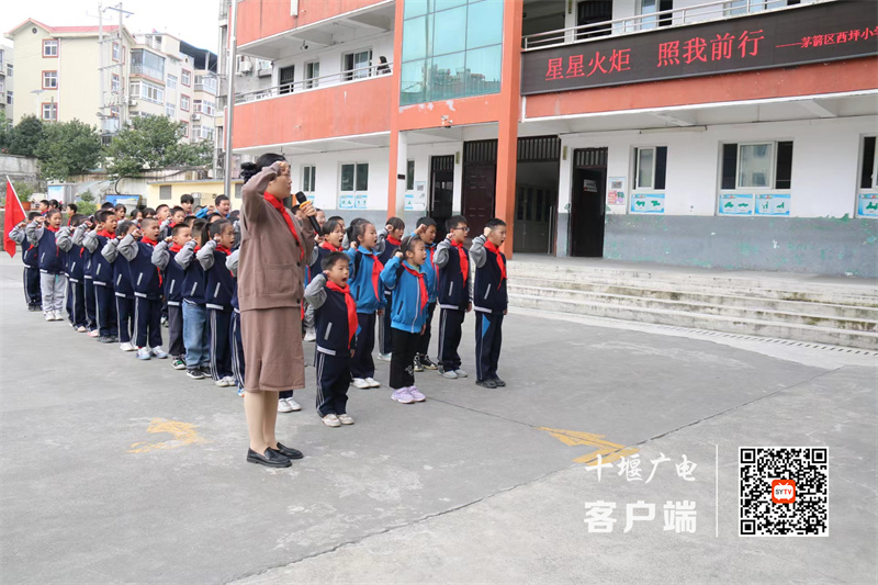 微信图片_20231011213329_副本