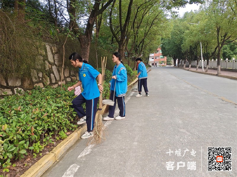 同学们清洁校园林荫道