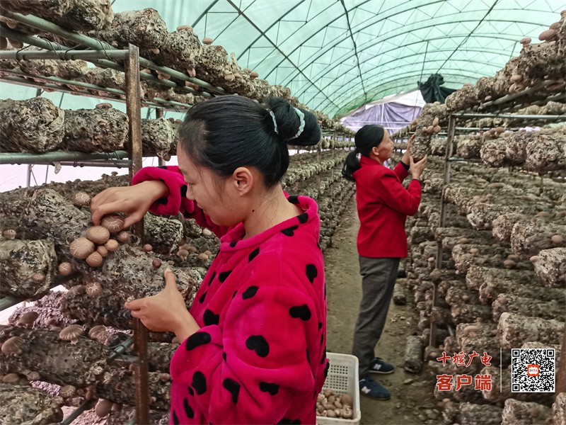 微信图片_20231012144900