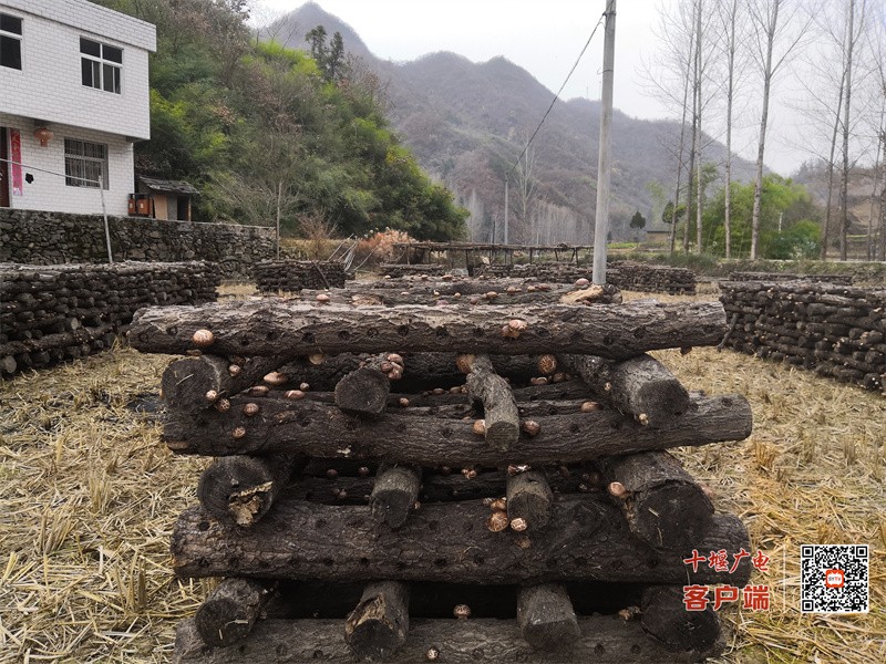 微信图片_20231012144912