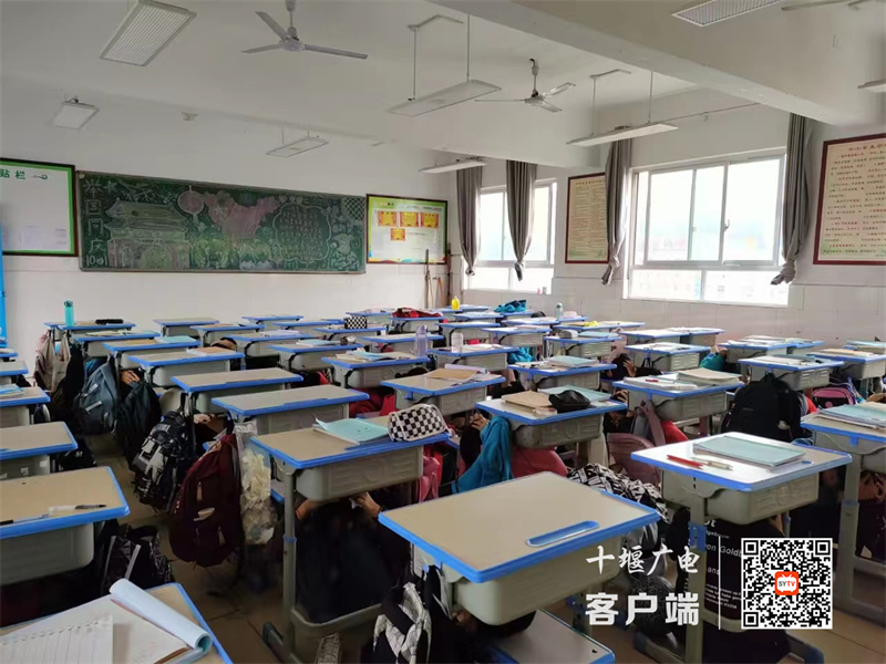 微信图片_20231012112808_副本
