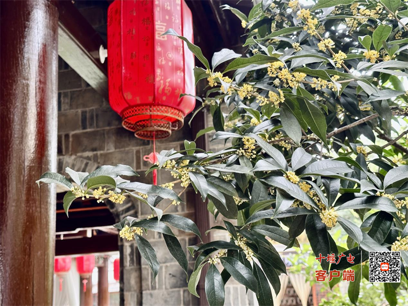 图片 4