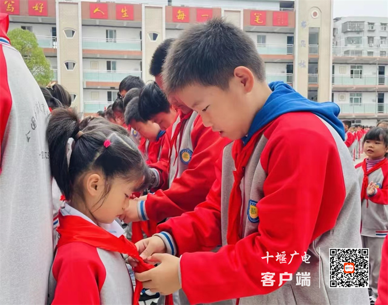 微信图片_20231013110114_副本