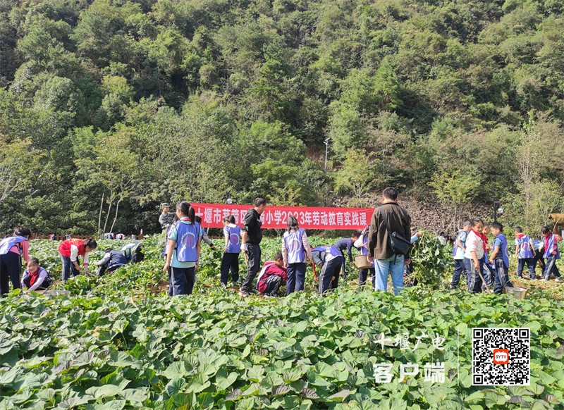 微信图片_20231013111224_副本