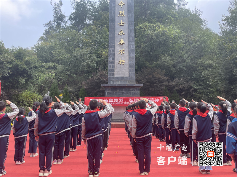 微信图片_20231013111235_副本