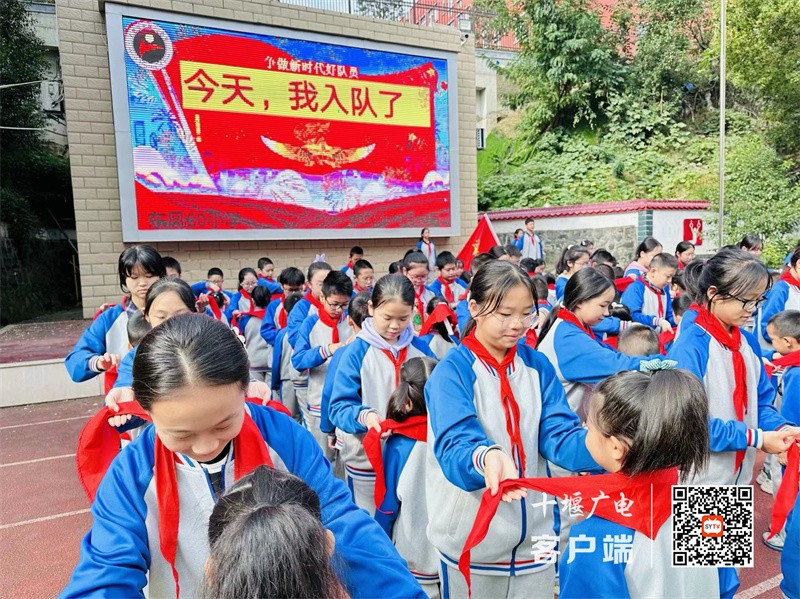 微信图片_20231013165308_副本