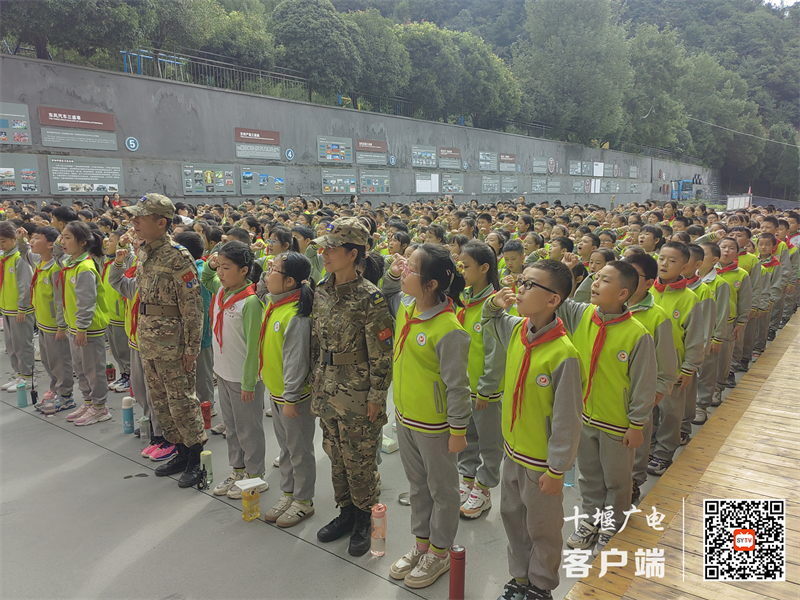 图片3