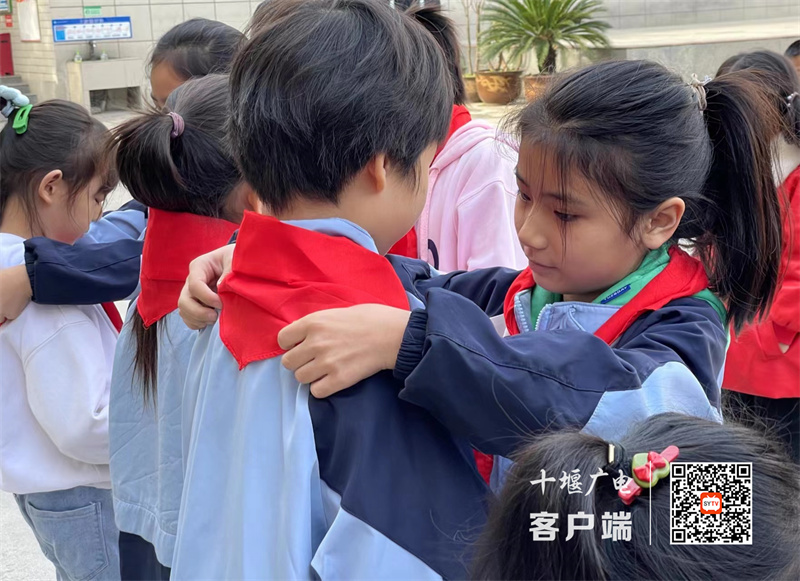 微信图片_20231013154931_副本