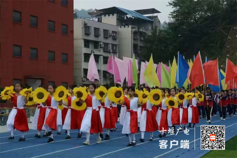 微信图片_20231014102951_副本