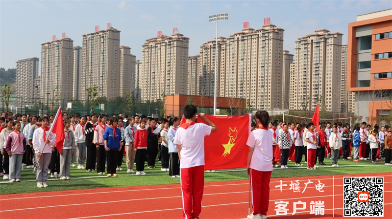 图片1