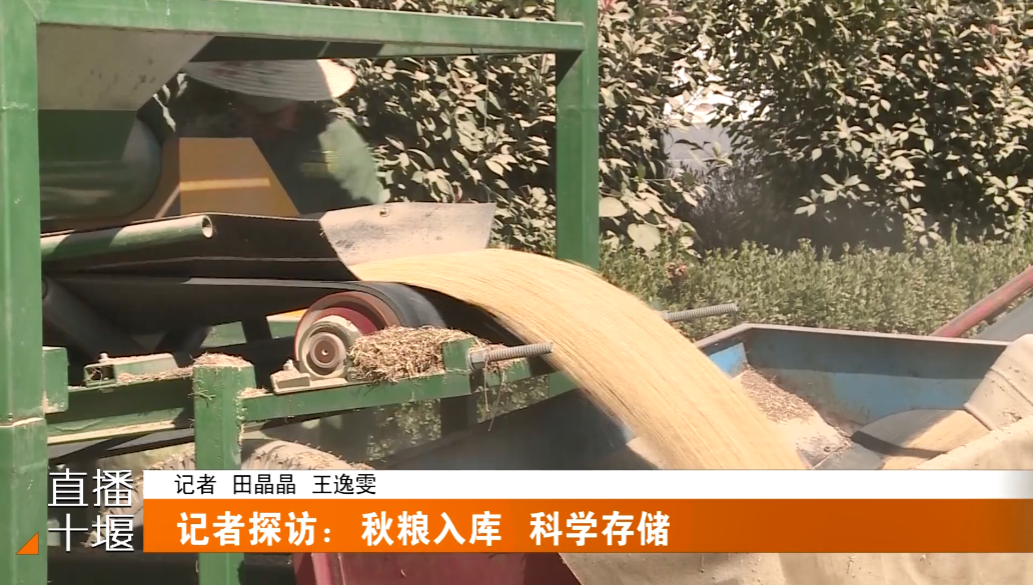 QQ图片20231016165244