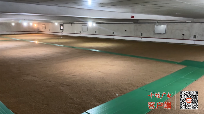 QQ图片20231016165344