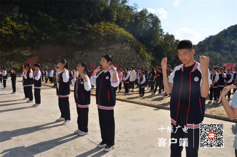微信图片_20231016183257_副本