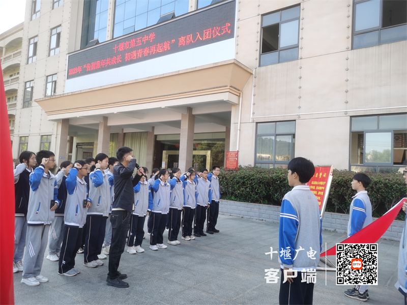 微信图片_20231017171122_副本
