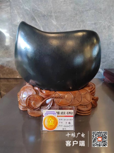 微信图片_20231017181331_副本