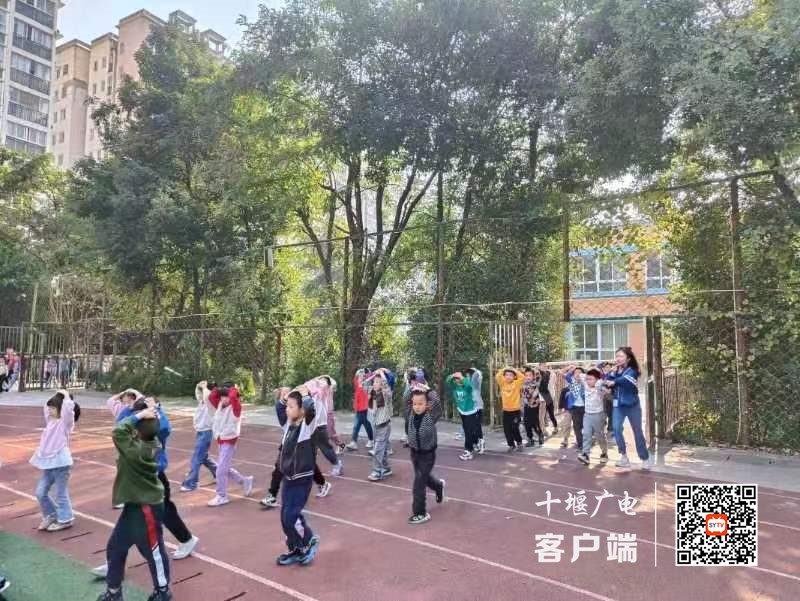 微信图片_20231018120243_副本