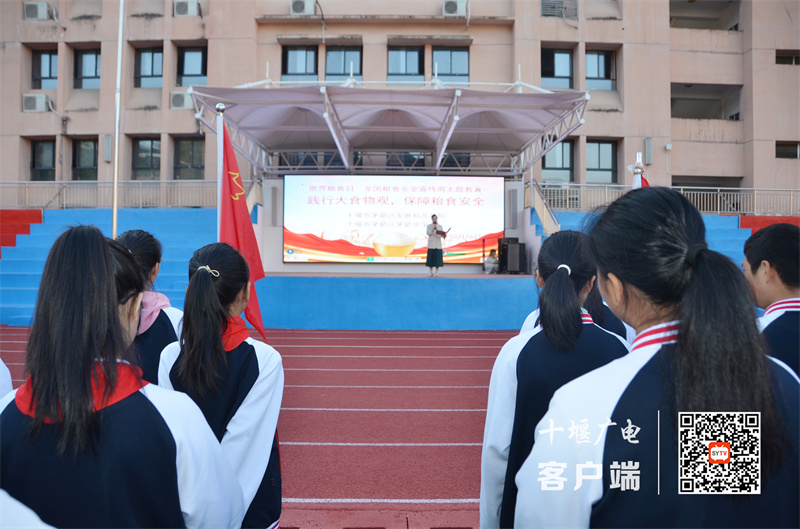 微信图片_20231018210157_副本