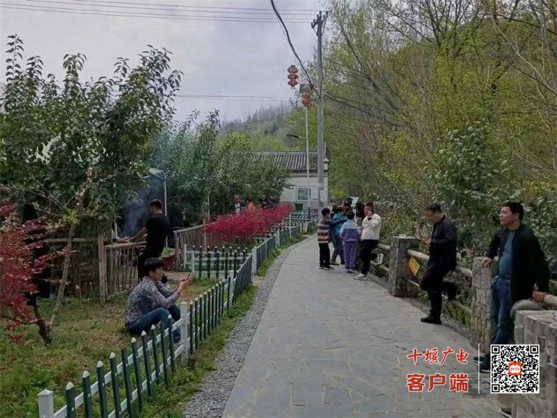 化龙7