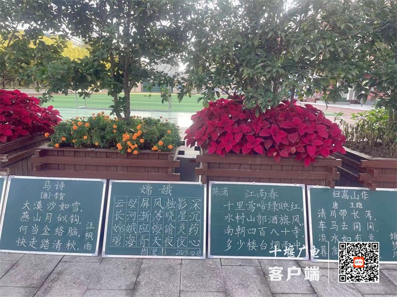 微信图片_20231020173809_副本
