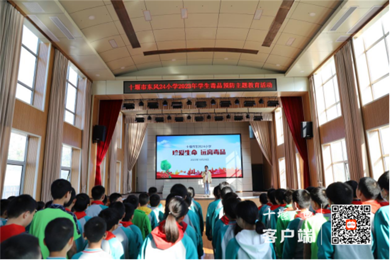 微信图片_20231020182411_副本
