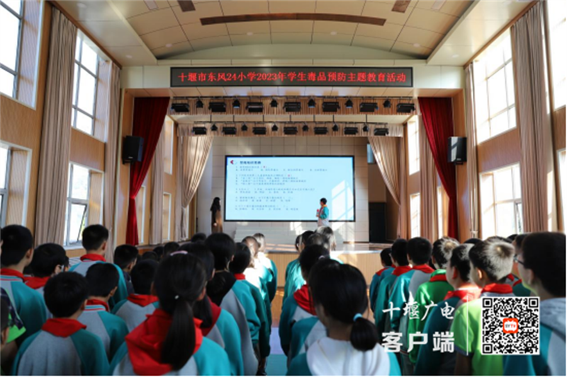 微信图片_20231020182425_副本