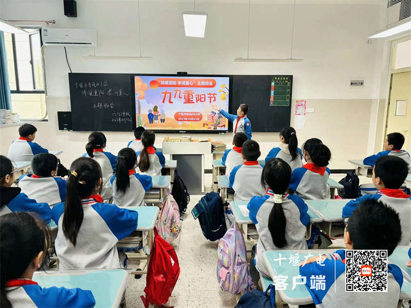 微信图片_20231023133425_副本