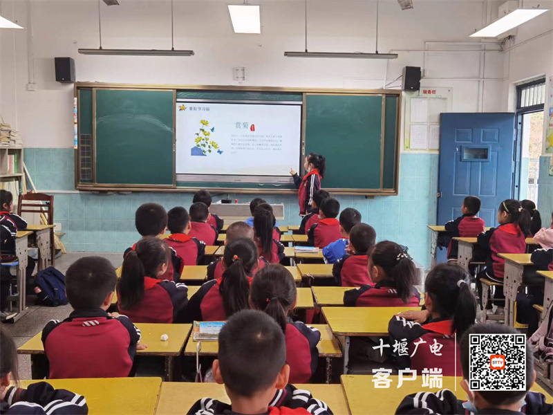微信图片_20231023184853_副本