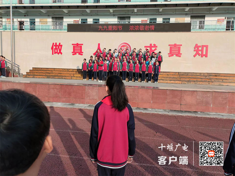 微信图片_20231023184849_副本