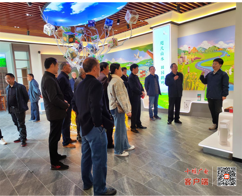 图片2