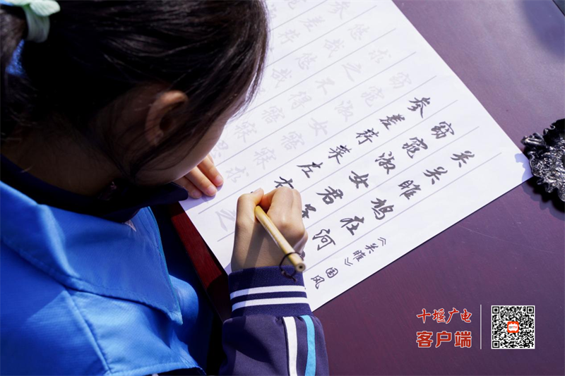 图片 12