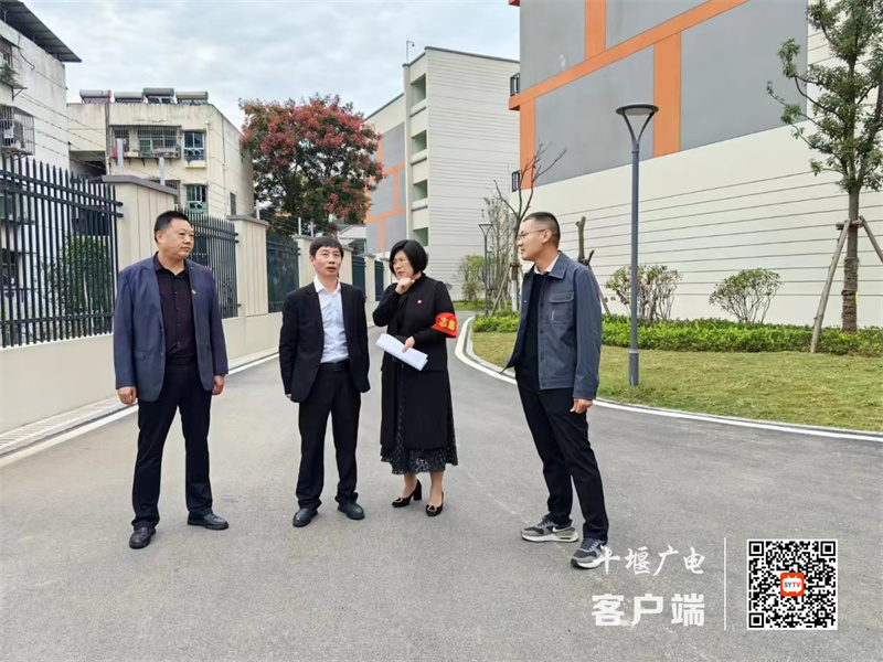 微信图片_20231024221201_副本