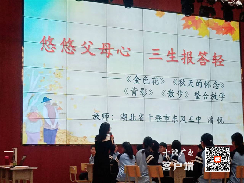 微信图片_20231025165101_副本