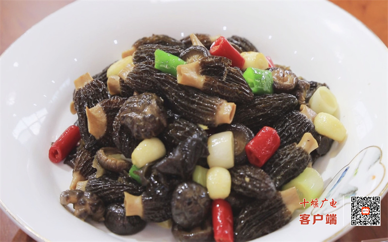 微信图片_20231027084759