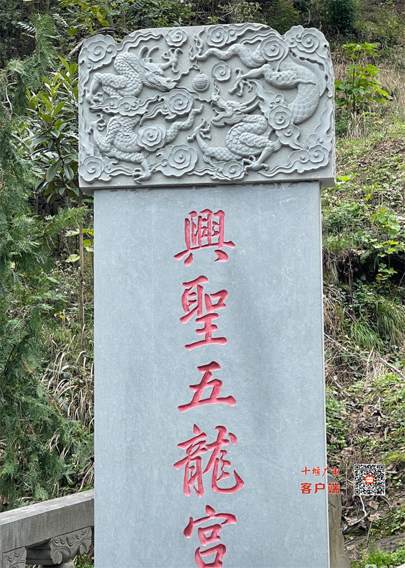 图片7