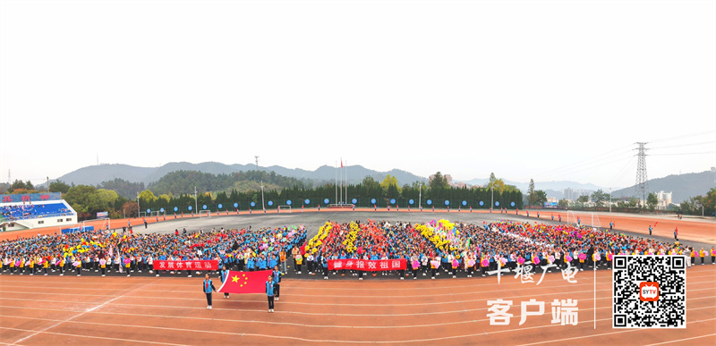 QQ图片20231027151517_副本