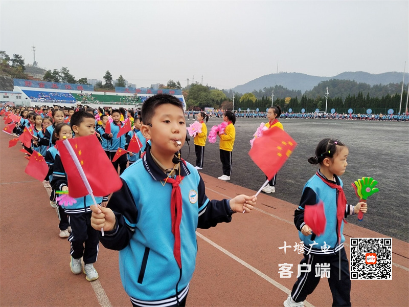 QQ图片20231027151554_副本
