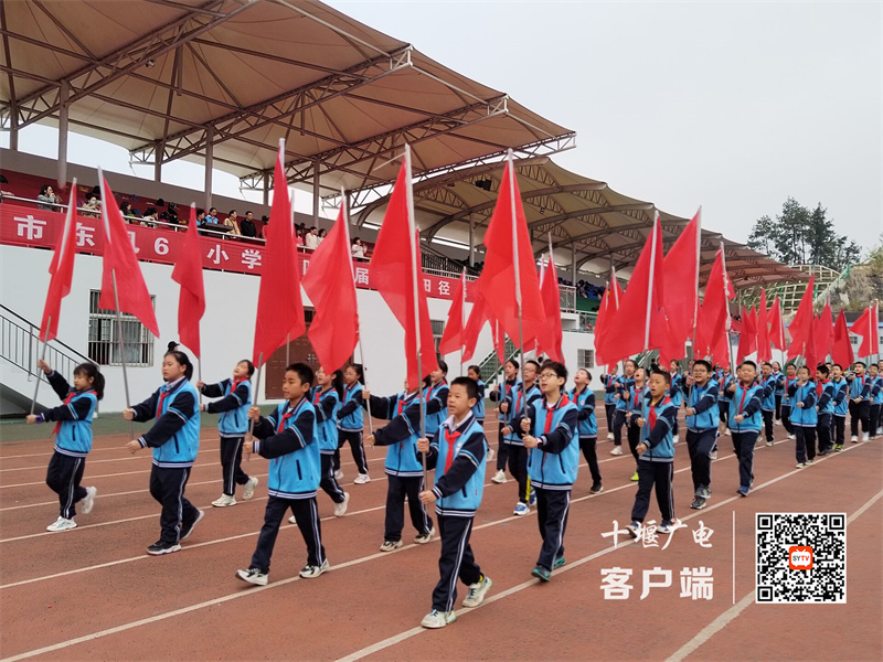 QQ图片20231027151559_副本