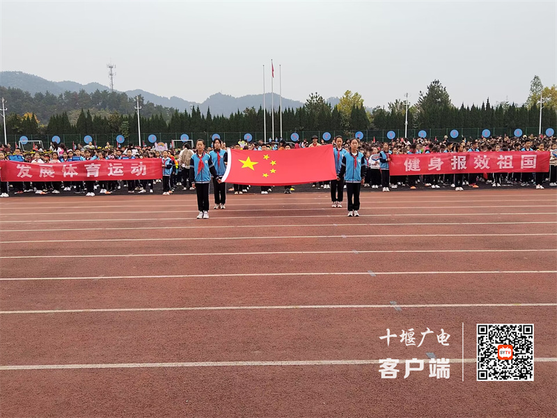 QQ图片20231027151619_副本