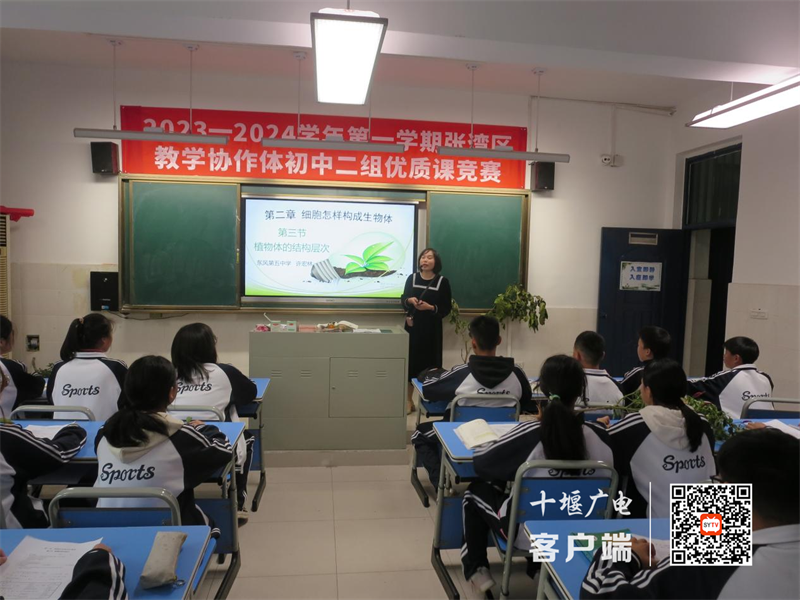 图片1_副本