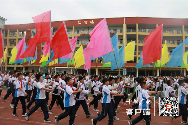 微信图片_20231027180449_副本