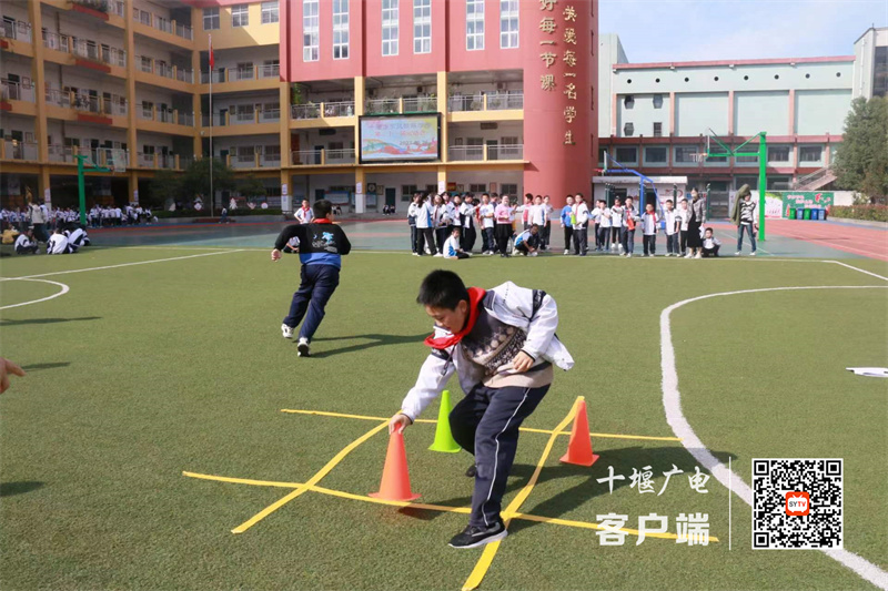 微信图片_20231027180436_副本