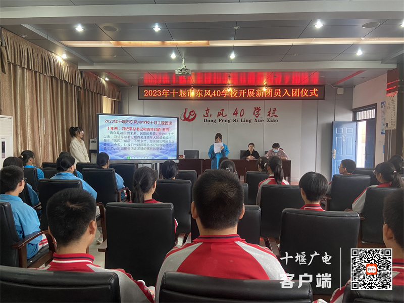 QQ图片20231027150117