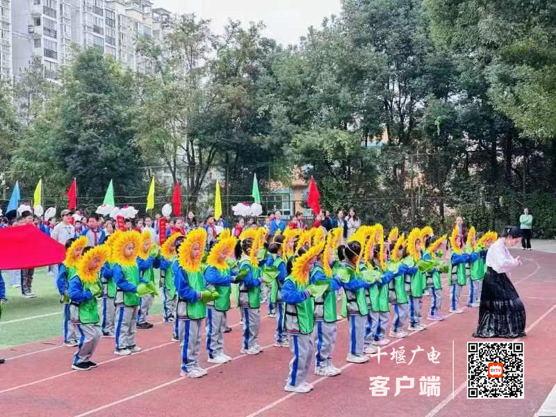 微信图片_20231028115342_副本