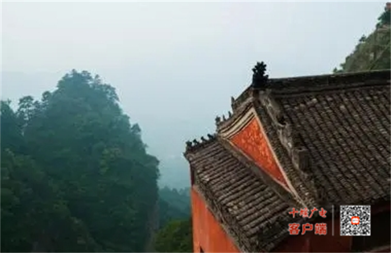 微信截图_20231028120656