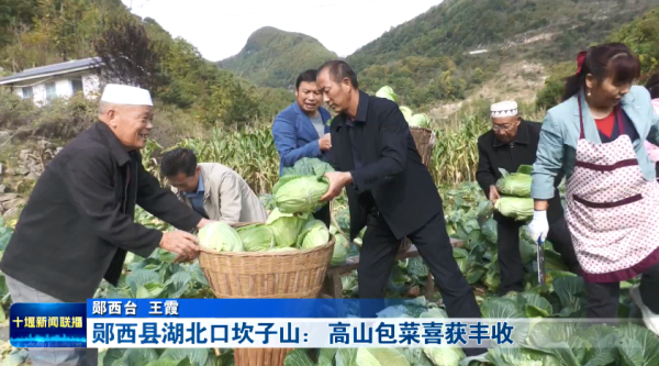 QQ图片20231028185558