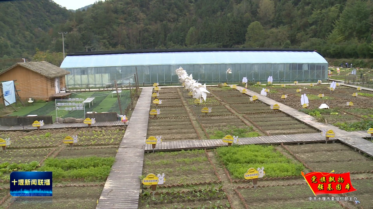 10月29日(16)