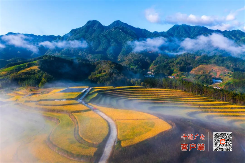 图片 5
