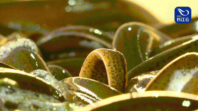 640 (2)