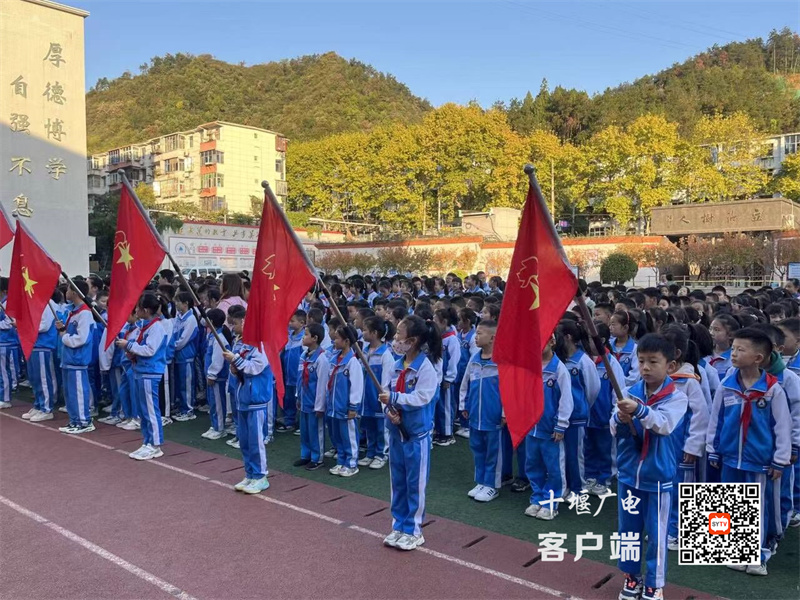 微信图片_20231031141453_副本