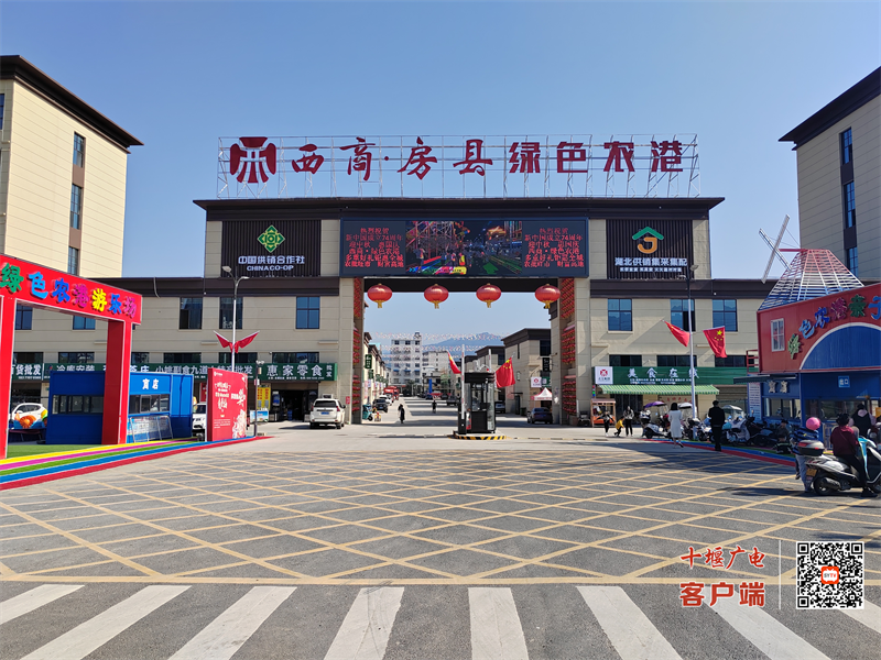 图片 4